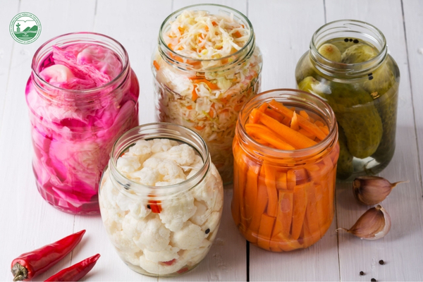 Các sản phẩm lên men từ rau củ như dưa cải, dưa chuột và cà rốt được bảo quản trong lọ thủy tinh