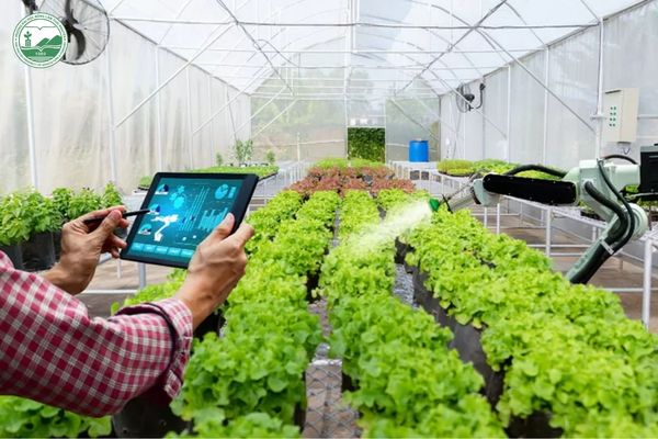 Tìm hiểu về nông nghiệp công nghệ cao là ngành gì