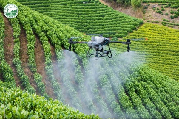 Ứng dụng drone trong trồng trọt công nghệ cao giúp hỗ trợ quản lý và chăm sóc cây trồng hiệu quả hơn