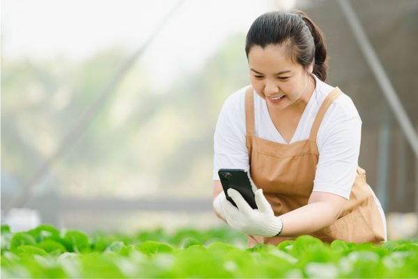 Ứng dụng nông nghiệp công nghệ cao vào trồng trọt