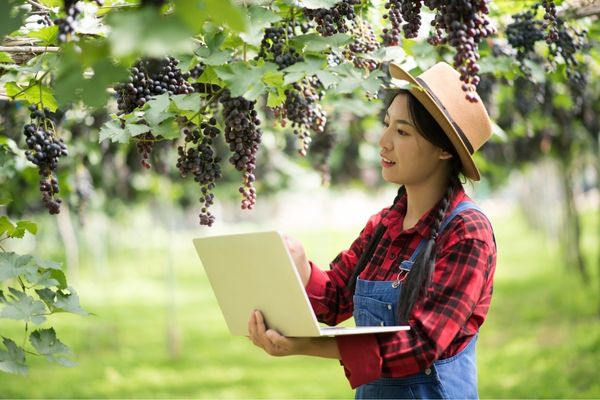 Mức lương ngành Quản lý tài nguyên môi trường trên chi mang tính chất tham khảo